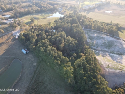 Country Home and 12 Acres in Jasper County, Ms - image 22
