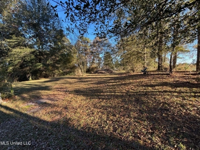 Country Home and 12 Acres in Jasper County, Ms - image 4