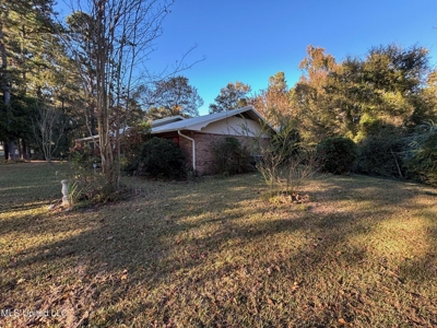 Country Home and 12 Acres in Jasper County, Ms - image 6