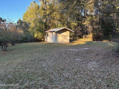 Country Home and 12 Acres in Jasper County, Ms - image 10