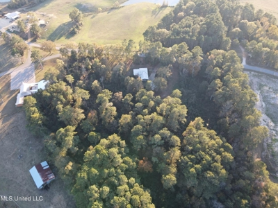 Country Home and 12 Acres in Jasper County, Ms - image 24