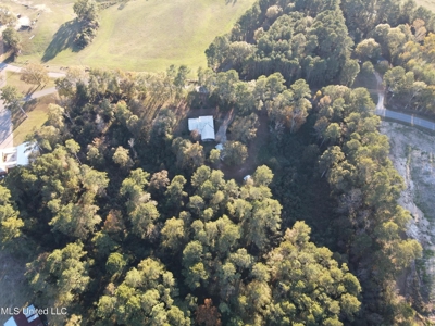 Country Home and 12 Acres in Jasper County, Ms - image 20