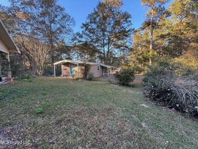 Country Home and 12 Acres in Jasper County, Ms - image 7