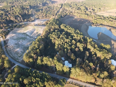 Country Home and 12 Acres in Jasper County, Ms - image 27