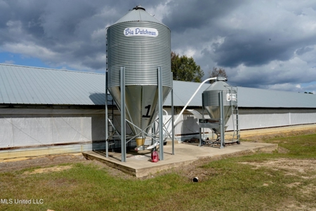 Income-Producing Poultry Farm in Silver Creek, Mississippi - image 7