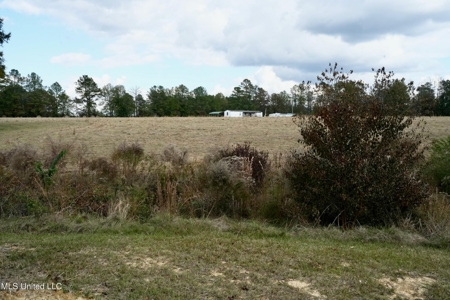 Income-Producing Poultry Farm in Silver Creek, Mississippi - image 32