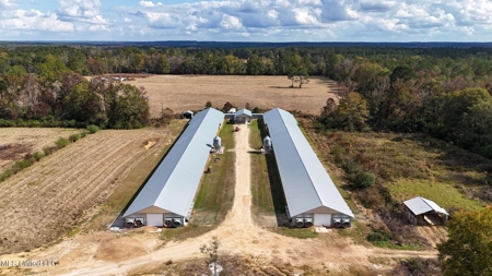 Income-Producing Poultry Farm in Silver Creek, Mississippi - image 3