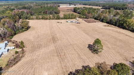 Income-Producing Poultry Farm in Silver Creek, Mississippi - image 24