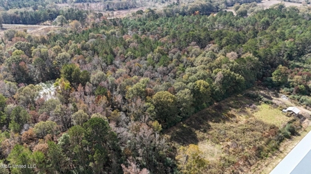 Income-Producing Poultry Farm in Silver Creek, Mississippi - image 25