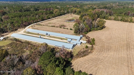 Income-Producing Poultry Farm in Silver Creek, Mississippi - image 2