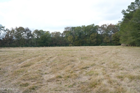 Income-Producing Poultry Farm in Silver Creek, Mississippi - image 28