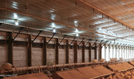 Income-Producing Poultry Farm in Silver Creek, Mississippi - image 21