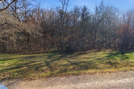 River Front Property in Blue Ribbon Trophy Trout Area of NFR - image 12