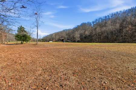 River Front Property in Blue Ribbon Trophy Trout Area of NFR - image 4