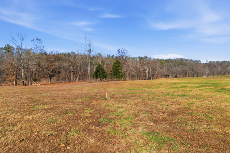 River Front Property in Blue Ribbon Trophy Trout Area of NFR - image 5