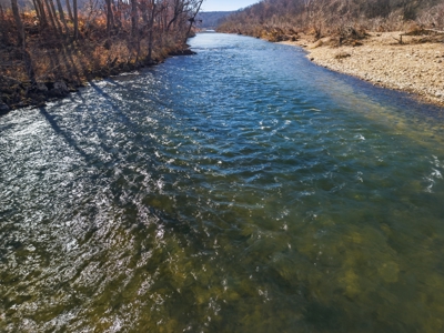 River Front Property in Blue Ribbon Trophy Trout Area of NFR - image 9