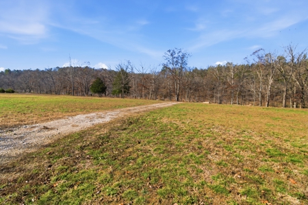 River Front Property in Blue Ribbon Trophy Trout Area of NFR - image 11