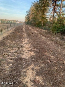 39.4 Acres with Pond For Sale Lincoln County Ruth, Mississippi - image 16