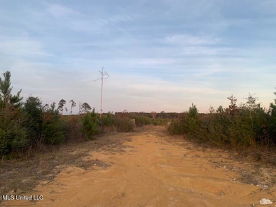 39.4 Acres with Pond For Sale Lincoln County Ruth, Mississippi - image 10