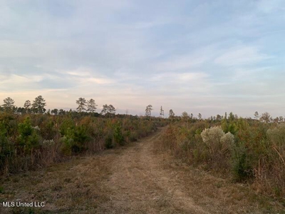 39.4 Acres with Pond For Sale Lincoln County Ruth, Mississippi - image 11