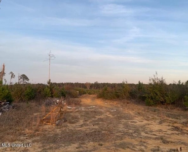 39.4 Acres with Pond For Sale Lincoln County Ruth, Mississippi - image 14