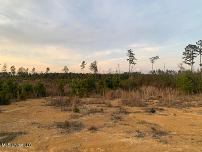 39.4 Acres with Pond For Sale Lincoln County Ruth, Mississippi - image 9