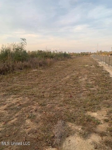 39.4 Acres with Pond For Sale Lincoln County Ruth, Mississippi - image 15