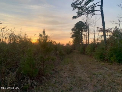 39.4 Acres with Pond For Sale Lincoln County Ruth, Mississippi - image 4