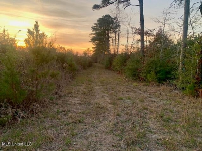 39.4 Acres with Pond For Sale Lincoln County Ruth, Mississippi - image 3