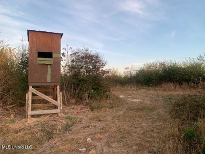 39.4 Acres with Pond For Sale Lincoln County Ruth, Mississippi - image 12