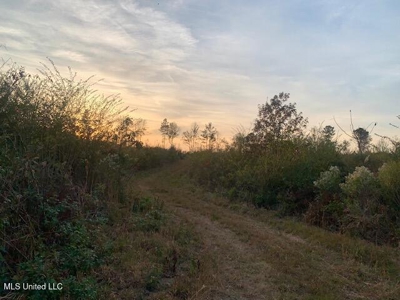 39.4 Acres with Pond For Sale Lincoln County Ruth, Mississippi - image 13