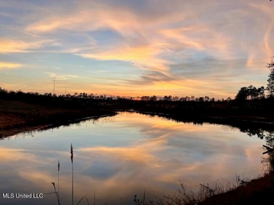 39.4 Acres with Pond For Sale Lincoln County Ruth, Mississippi - image 1