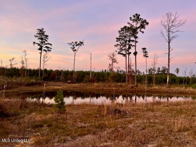 39.4 Acres with Pond For Sale Lincoln County Ruth, Mississippi - image 2