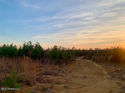 39.4 Acres with Pond For Sale Lincoln County Ruth, Mississippi - image 7