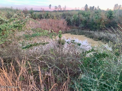 39.4 Acres with Pond For Sale Lincoln County Ruth, Mississippi - image 6