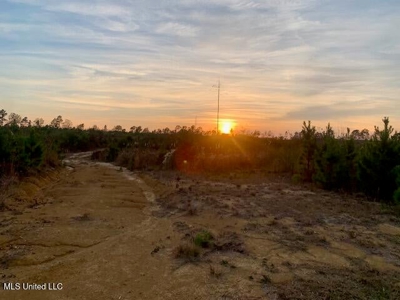 39.4 Acres with Pond For Sale Lincoln County Ruth, Mississippi - image 8