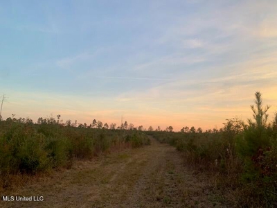 39.4 Acres with Pond For Sale Lincoln County Ruth, Mississippi - image 5