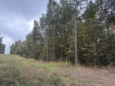 26.18± Acres Miller County, AR | Wooded Land with Power - image 8