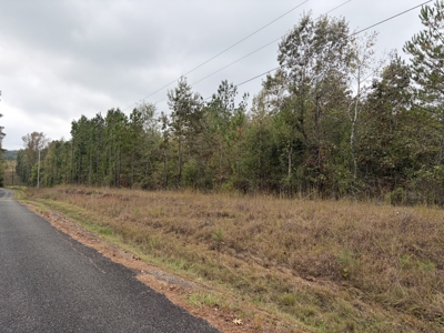 26.18± Acres Miller County, AR | Wooded Land with Power - image 6