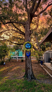 RV Lot For Sale in Suwannee, FL - image 6