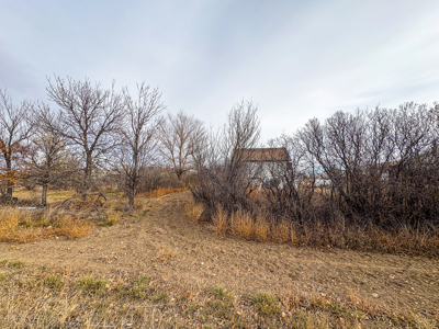 Charming Country Home Just 4 Miles North of Glasgow - image 12