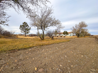 Charming Country Home Just 4 Miles North of Glasgow - image 29