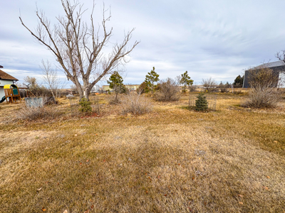 Charming Country Home Just 4 Miles North of Glasgow - image 20