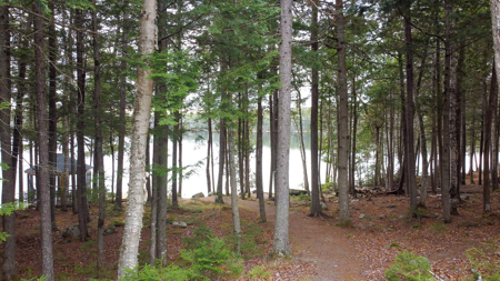 Downeast Lakefront Cottage - Robbinston, Maine - image 7
