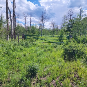 Coorado Hunting and Recreation Acreage - image 6