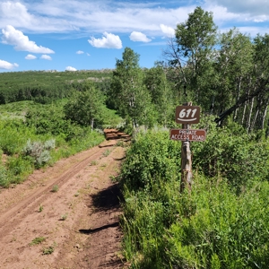 Coorado Hunting and Recreation Acreage - image 2