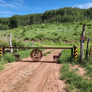 Coorado Hunting and Recreation Acreage - image 3