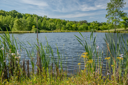 94± Acre Tn Country Home, Hunting, Lake & Creek Frontage! - image 46