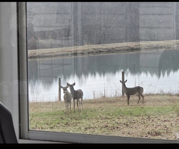 Tennessee 94 Acres of Turn-Key Country Living! - image 50