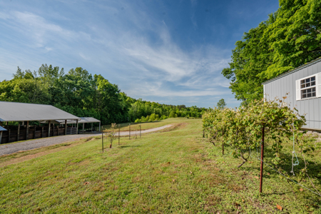 94± Acre Tn Country Home, Hunting, Lake & Creek Frontage! - image 30